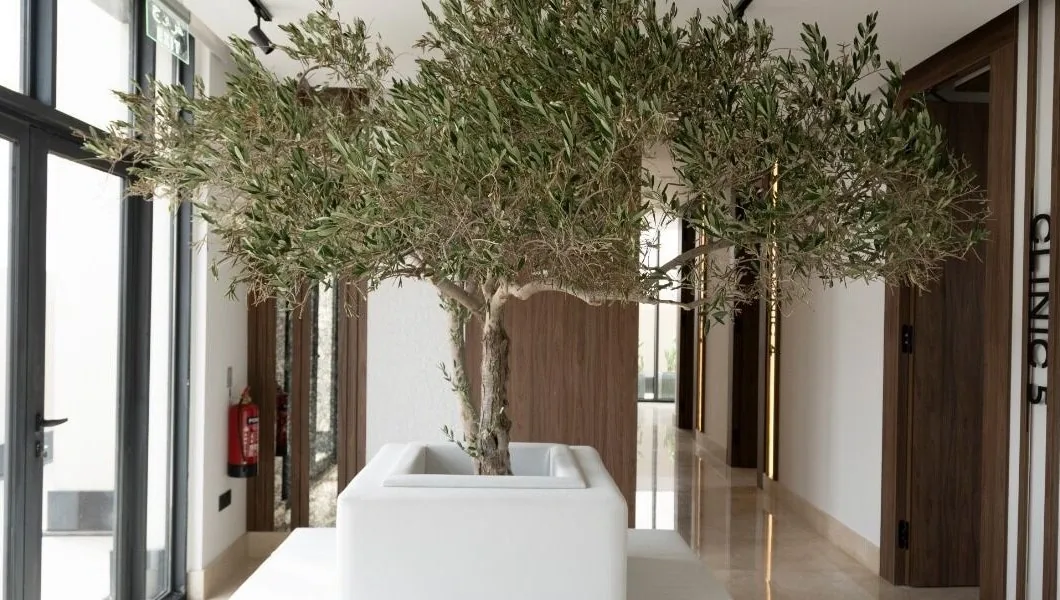 NeuSkin Clinic hallway, Al Malqa